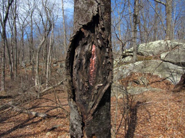 Love Canal Environmental Art Installation