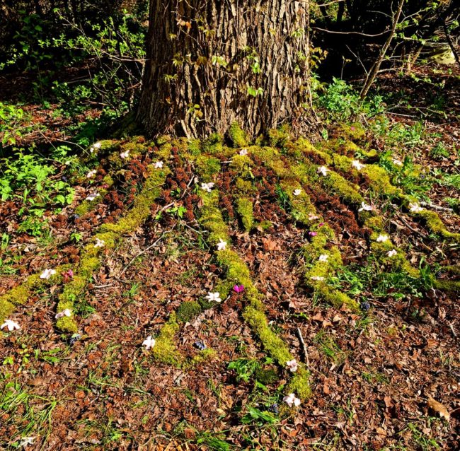 Tentacles Environmental Art Installation