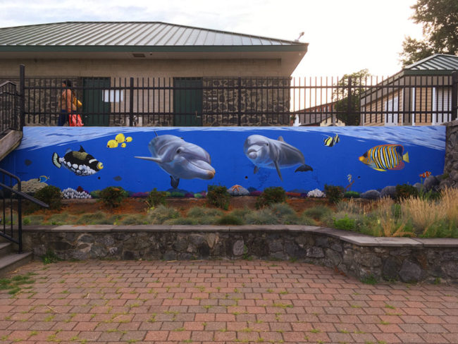 Dolphin Mural with Tropical Fish by Artists Bonnie Lee Turner and Charles C. Clear III