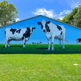 Giant Cow Mural at Bliss Restaurant in Attleboro by Artists Bonnie Lee Turner and Charles C. Clear III
