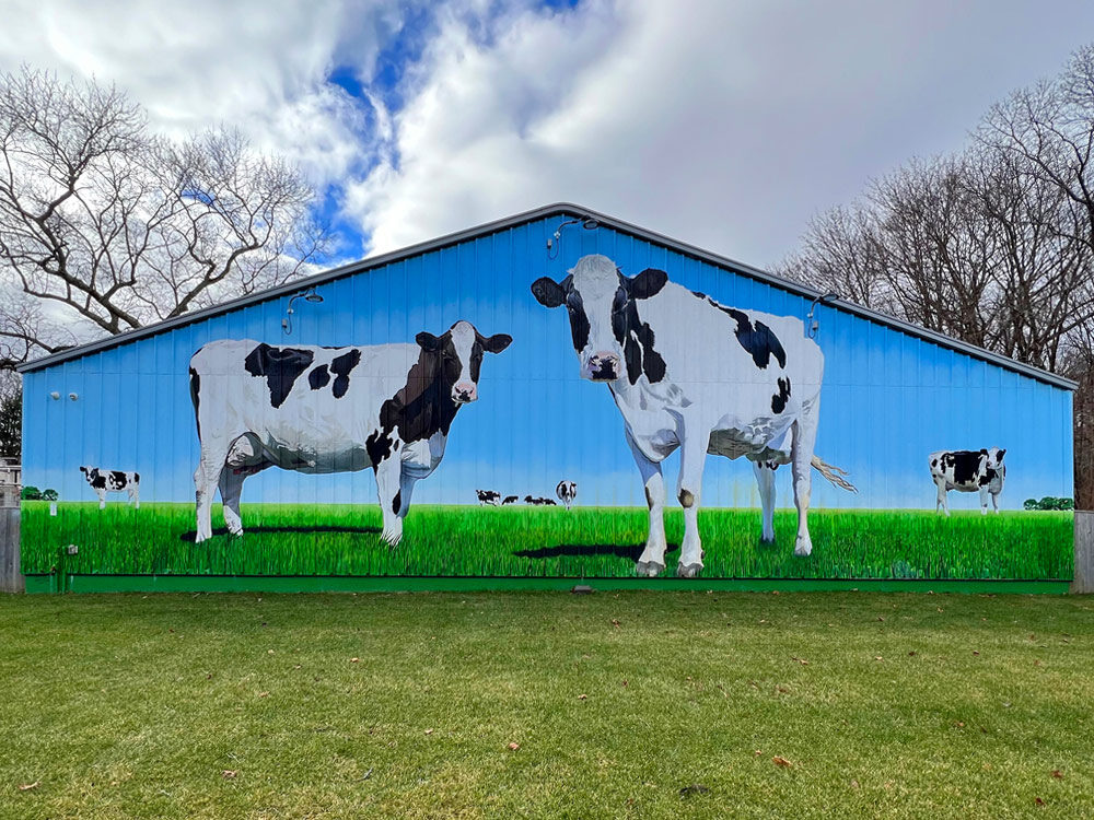 Enormous cows graze under a vibrant blue sky in this captivating 60' x 22' mural painted on a corrugated metal barn in Attleboro, MA. This eye-catching artwork was commissioned by New England Ice Cream Corporation and painted by Bonnie lee Turner and Charles C. Clear III. This mural is a must-see for selfie lovers and art enthusiasts alike!